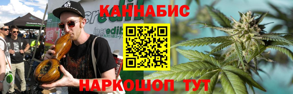 Шишки марихуана марихуана Канаш
